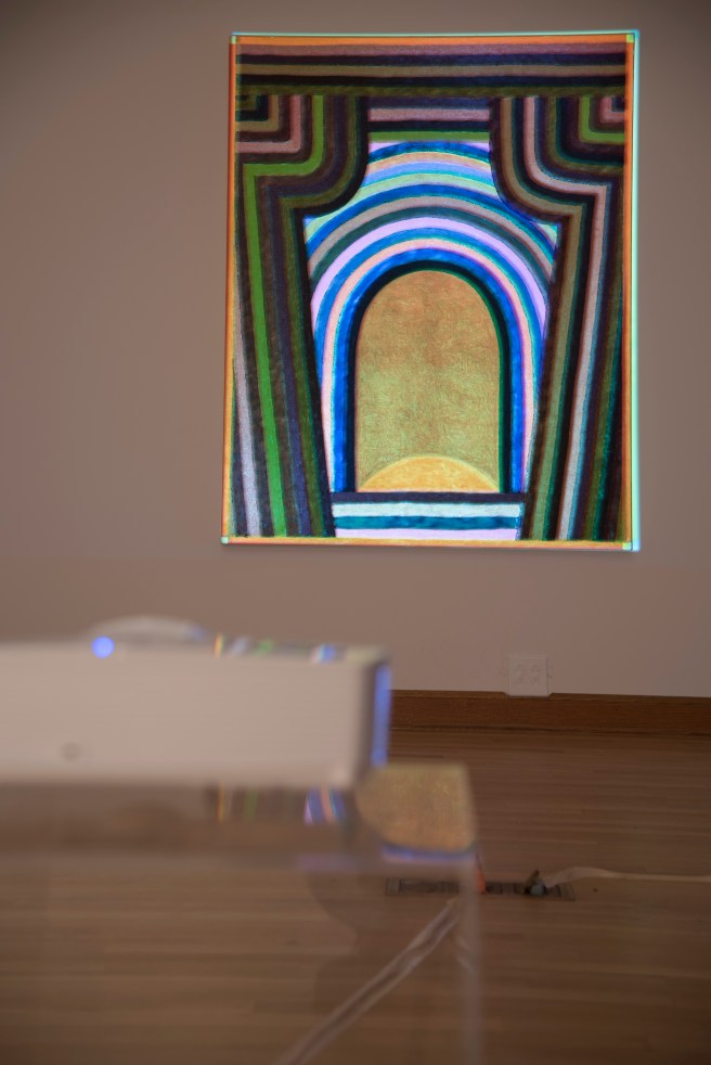 Through Sunset Into the Raccoon Night