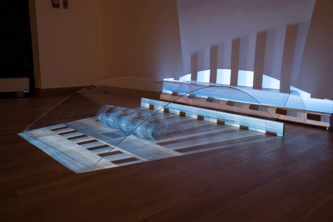 Through Sunset Into the Raccoon Night