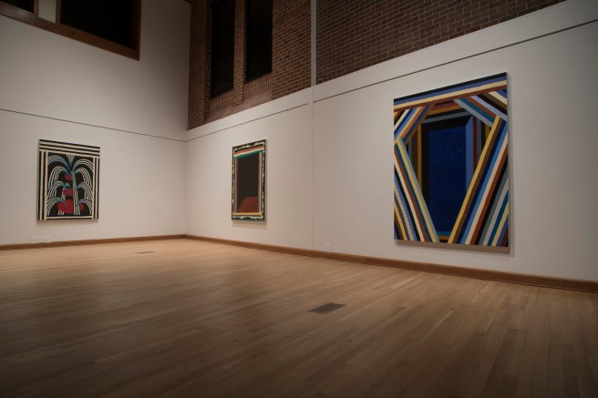 Through Sunset Into the Raccoon Night