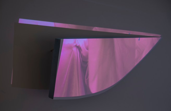 raccoon_night-edited